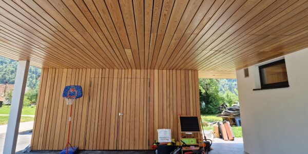 Lopa in nadstrešek: Sibirski macesen